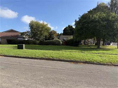 Picture 21